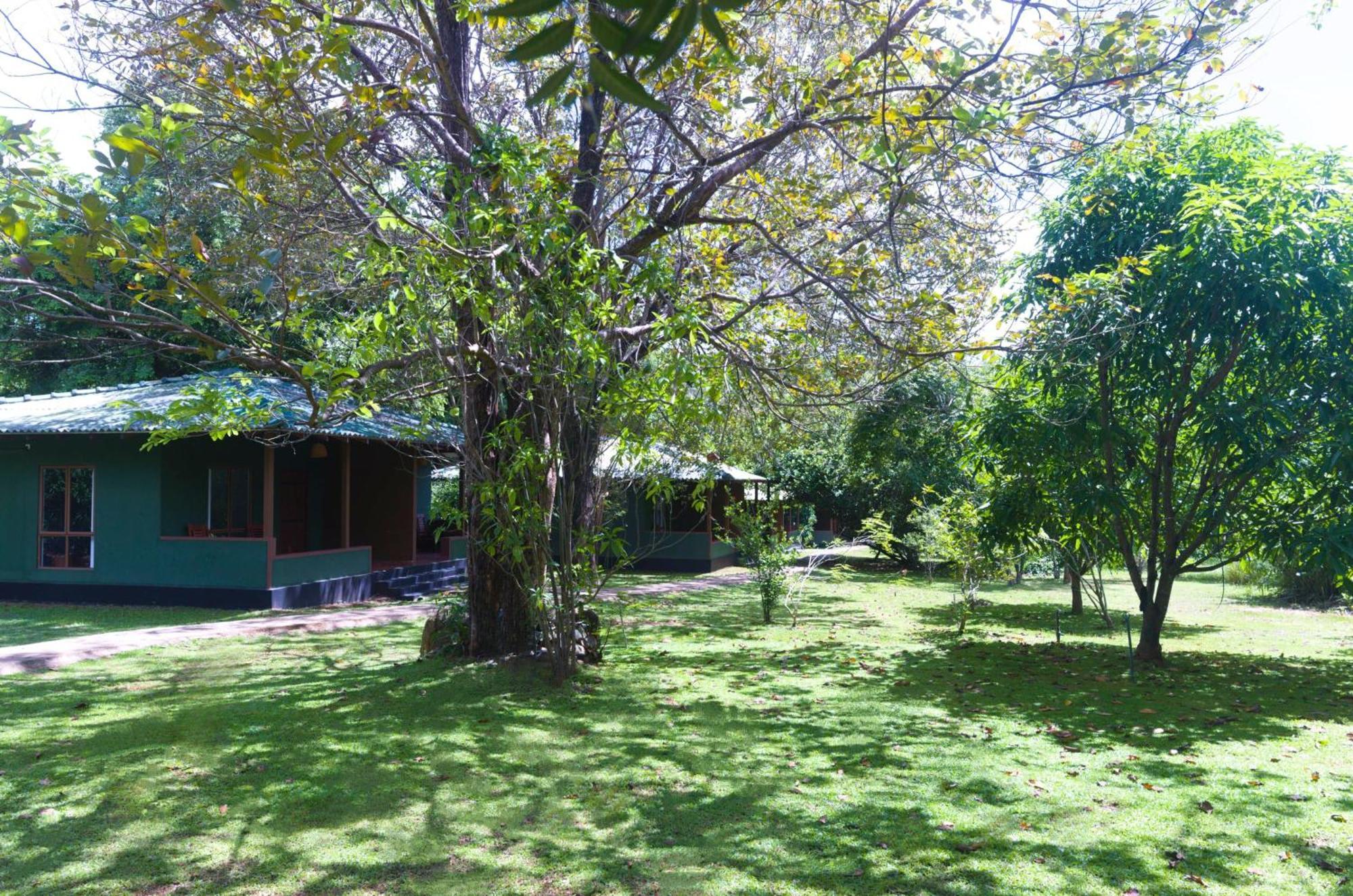 Pinthaliya Resort Sigiriya Luaran gambar