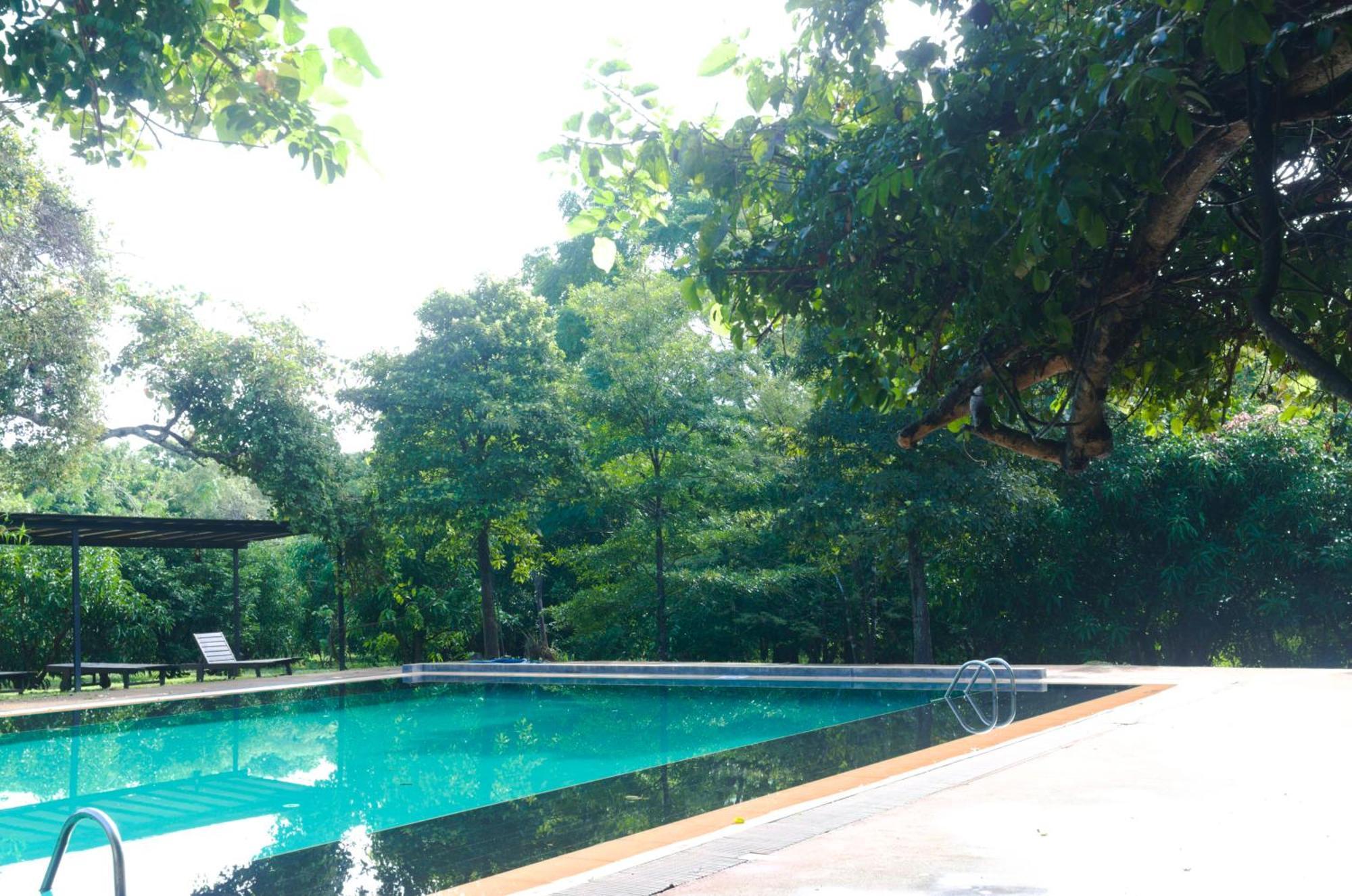 Pinthaliya Resort Sigiriya Luaran gambar